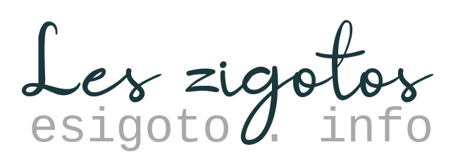 nom : les zigotos